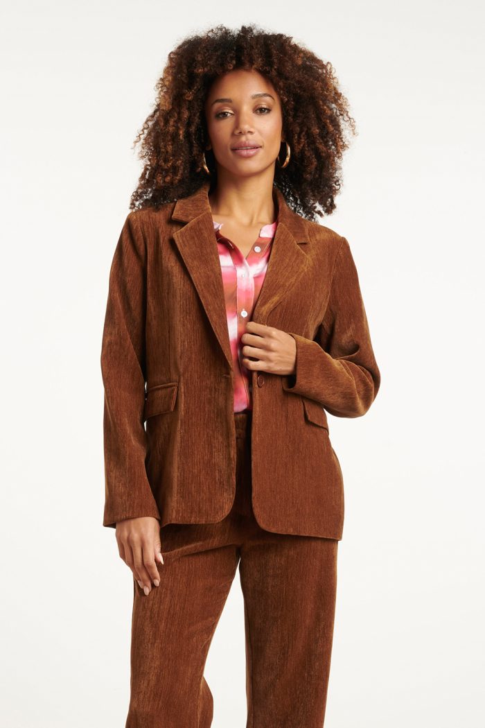 SMASHED LEMON RETRO CHIC BROWN BLAZER
