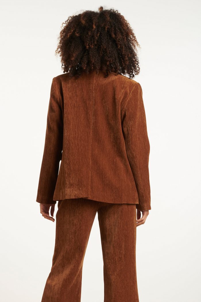 SMASHED LEMON RETRO CHIC BROWN BLAZER