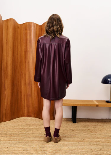 FRNCH ERNAUX DRESS