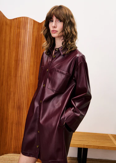 FRNCH ERNAUX DRESS